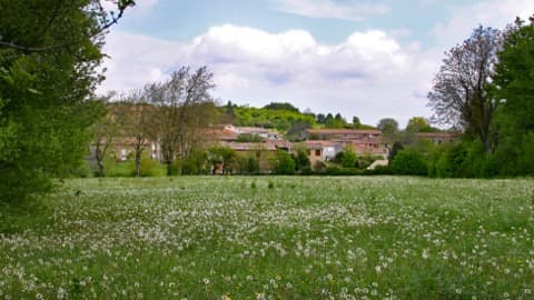 Couvreur Bouisse