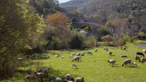 Couvreur Clermont-sur-Lauquet