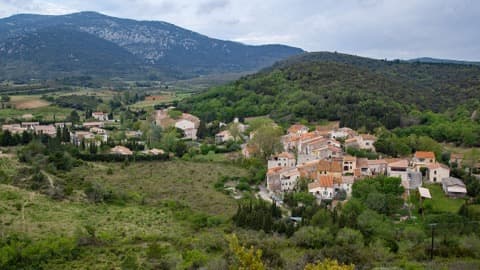 Couvreur Feuilla
