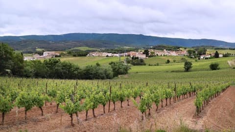 Couvreur Gardie