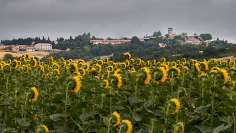 Couvreur Hounoux