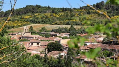 Couvreur Loupia
