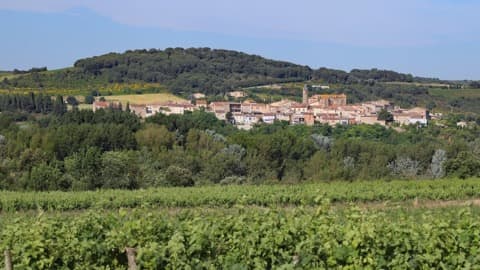 Couvreur Preixan