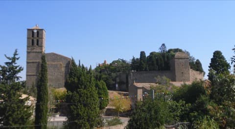 Couvreur Puichéric