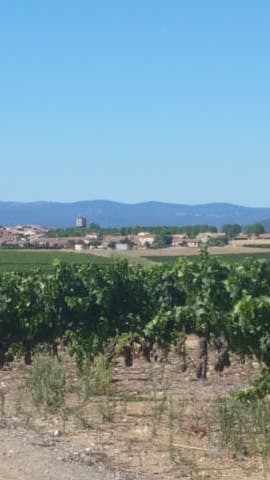 Couvreur Sainte-Valière