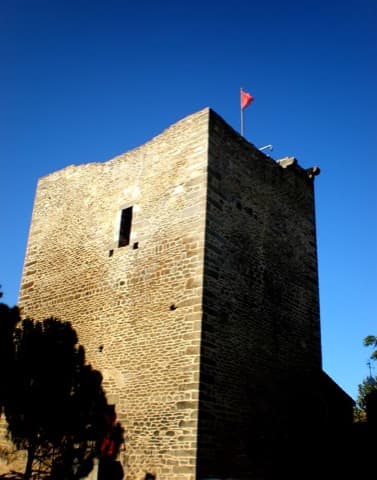 Couvreur Trausse