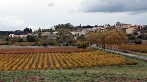 Couvreur Villarzel-Cabardès