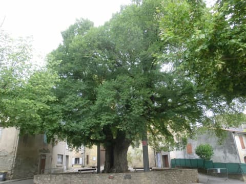 Couvreur Villesèquelande